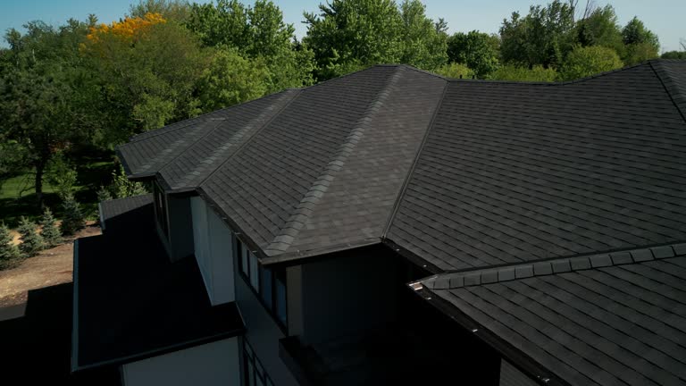 Best Roof Moss and Algae Removal  in Richfield, WI